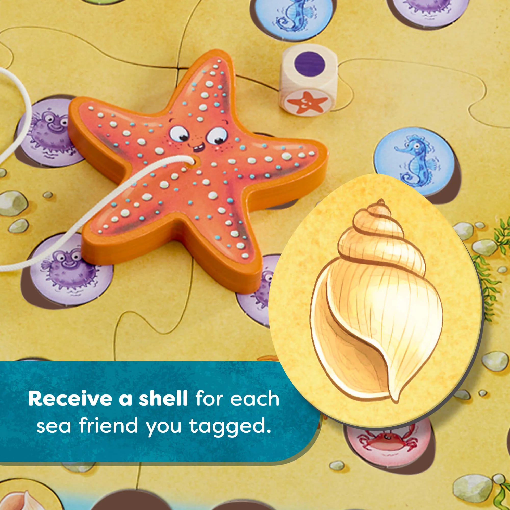 Sebastian Sea Star Fishing Game for 2-4 Players Ages 3 and Up