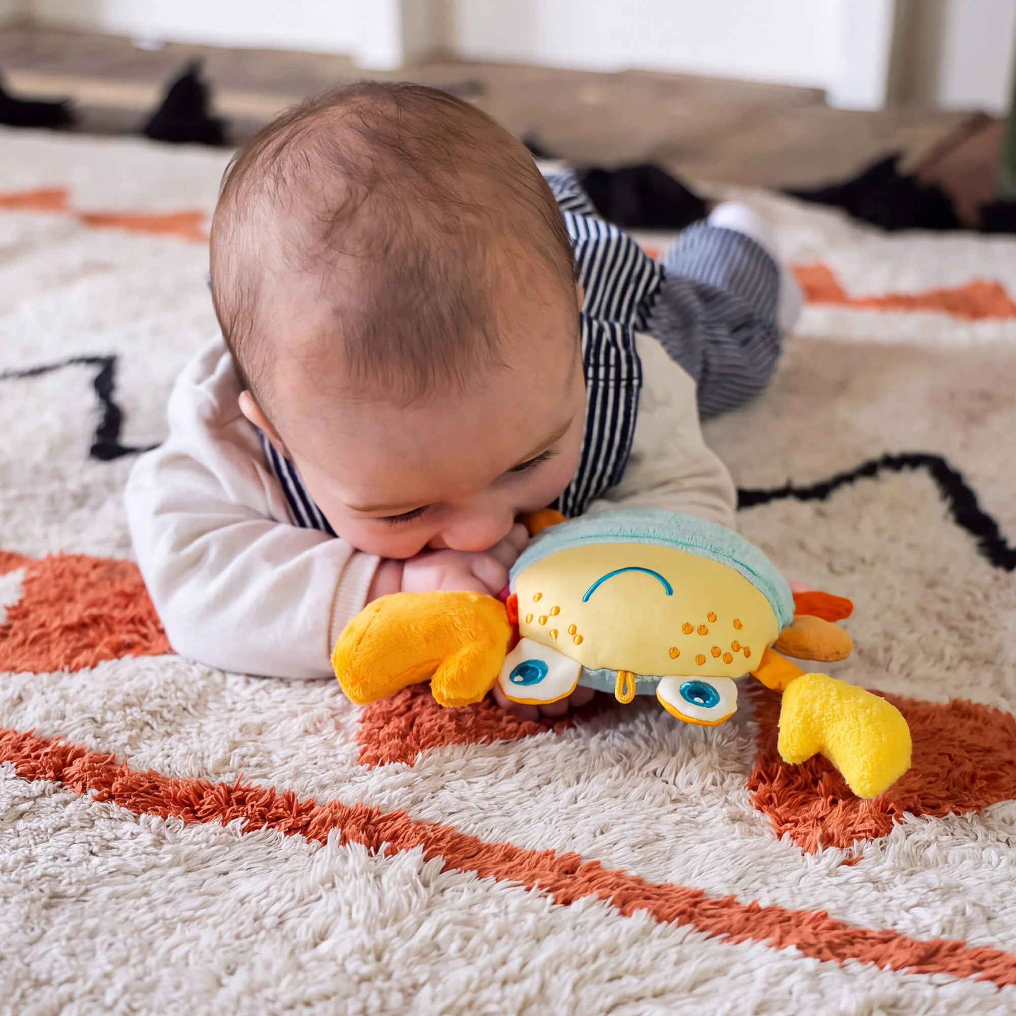 HABA Crabby Sensory Baby Toy with Vibrating Claw
