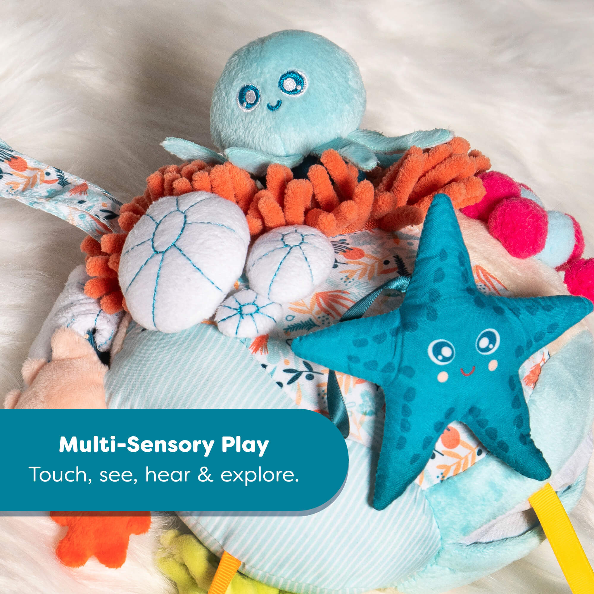 Sensorial Reef 婴儿活动玩具，由 Miniland 出品，适合感官游戏