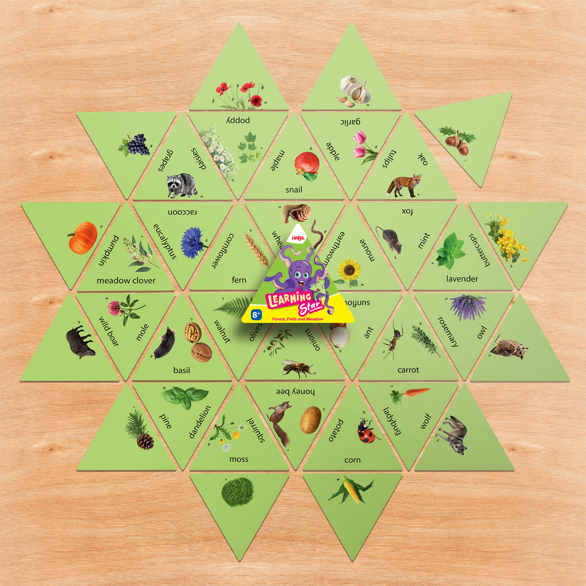 Learning Star Educational Games Bundle Set of 3 Editions