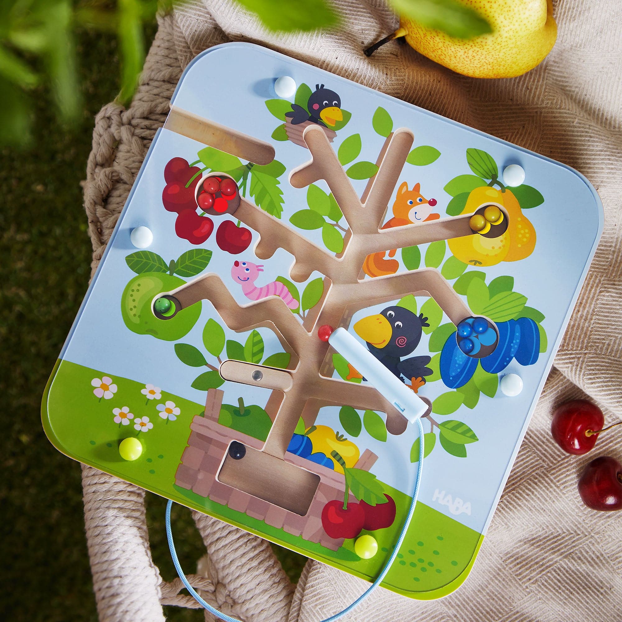 Orchard Maze 磁性分类游戏 水果计数乐趣