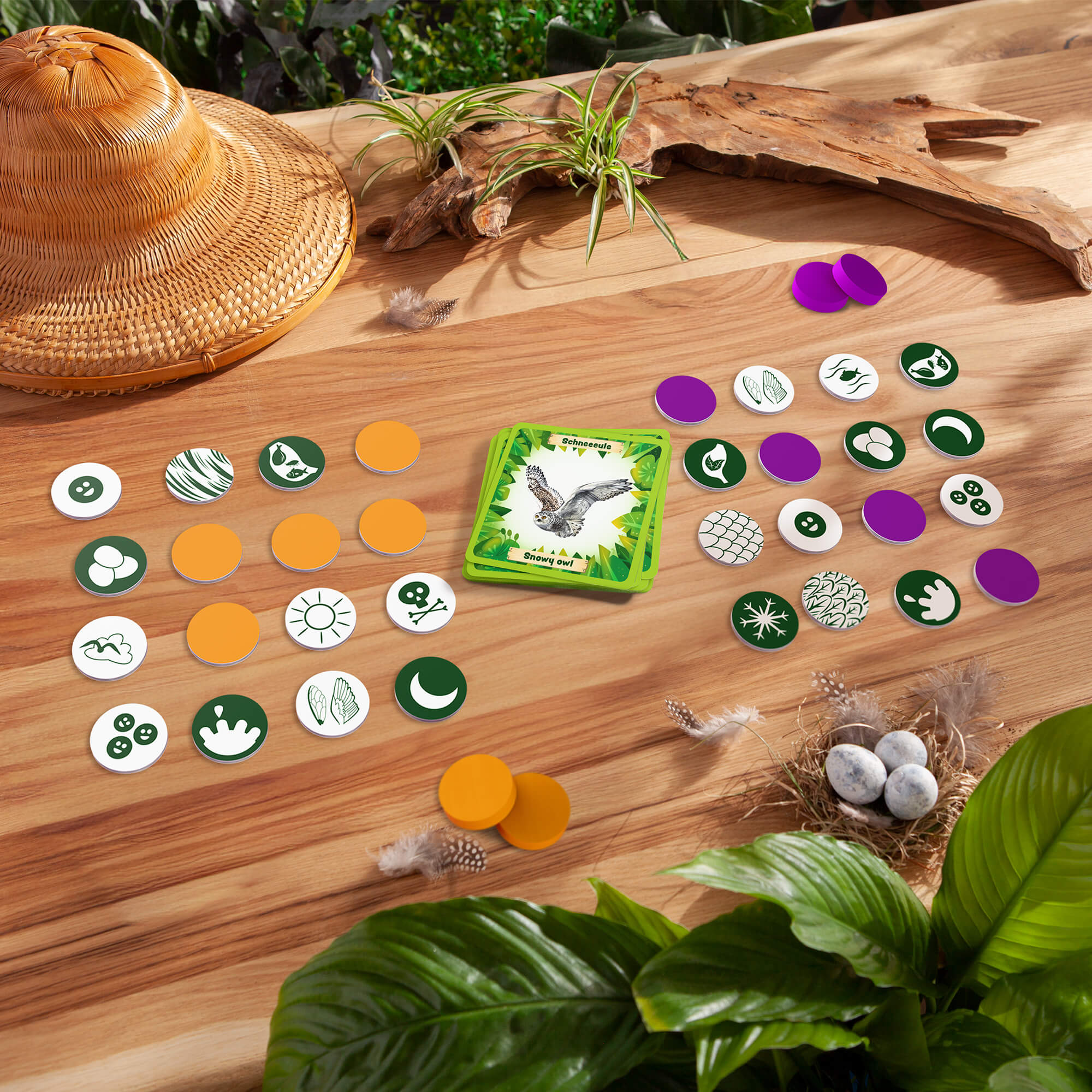 Animals Around the World Bingo Strategy Game for 2-4 Players