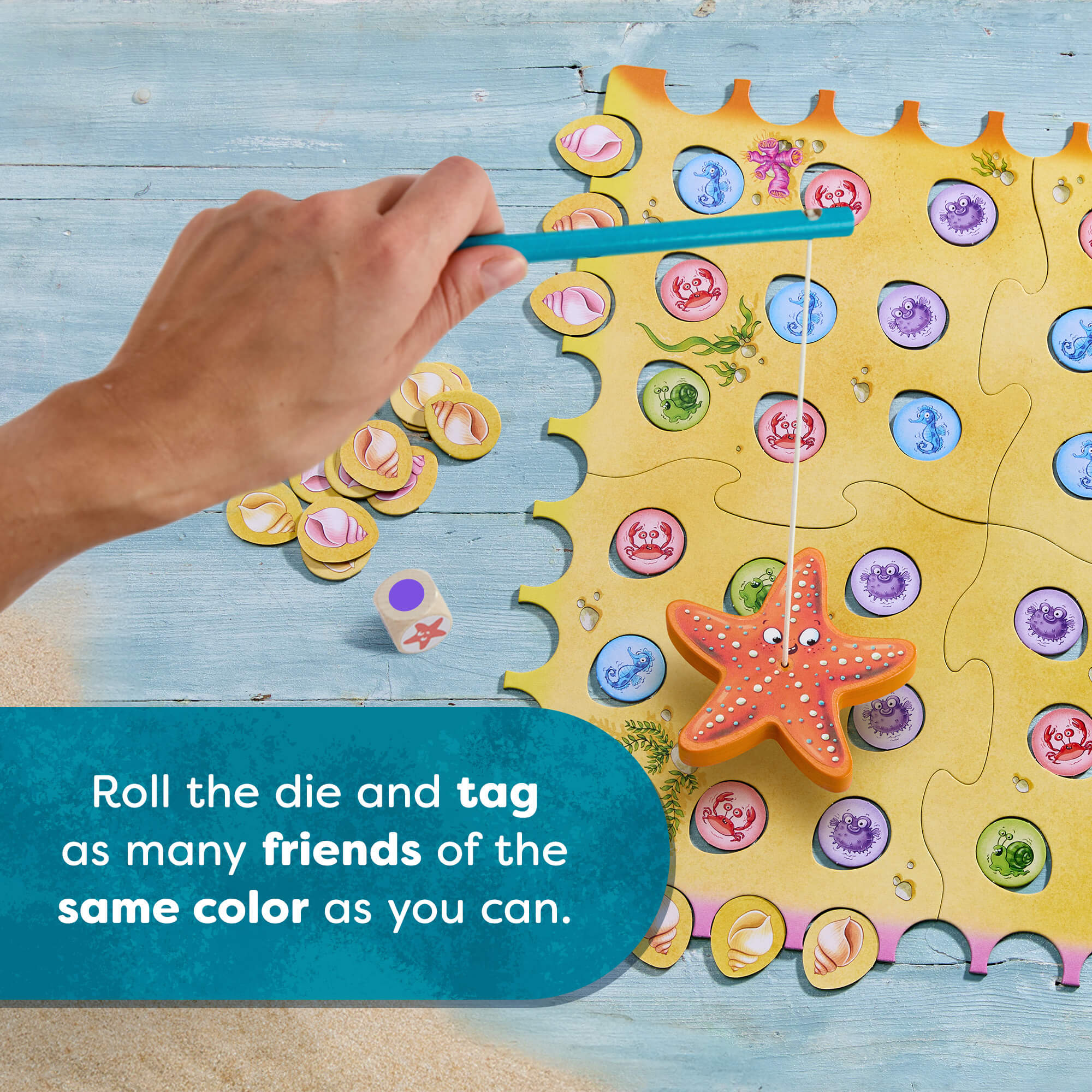 Sebastian Sea Star Fishing Game for 2-4 Players Ages 3 and Up